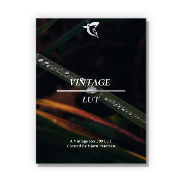 Cinematic Vintage Video LUT