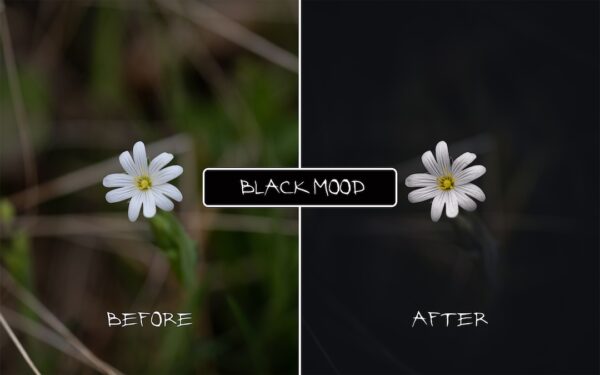Rich Blacks V4 Preset Pack - Image 3