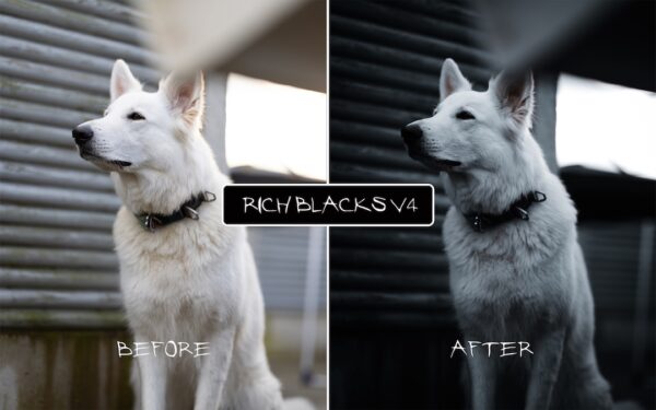 Rich Blacks V4 Preset Pack - Image 6