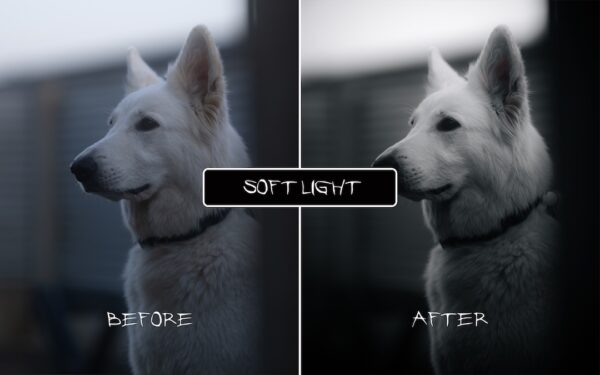 Rich Blacks V4 Preset Pack - Image 7