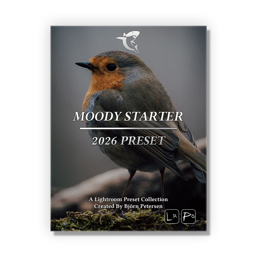 Moody Starter 2026 Preset Pack